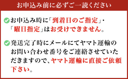 訳あり とうもろこし 先行予約  R8 下妻産 朝採り おおもの 約6kg 