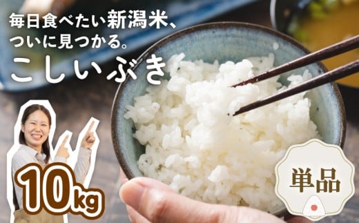 令和7年産 新潟県産こしいぶき 10kg 5kg×2袋 新潟県 新潟産 新潟米 新発田産 新発田 お米 米 こしいぶき とんとん市場 せいだ 5kg 10kg 数量限定 玄米 とんとん市場のお米 D55_05