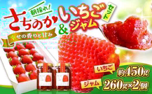 【先行予約】【1月上旬から順次発送】 いちご 大前農園の完熟いちご&完熟いちごジャムセット いちご さちのか イチゴ 苺 ジャム いちごジャム フルーツジャム イチゴジャム ベリー フルーツ ストロベリー 苺 数量限定 広島県  三次市/大前農園 [APAS002]