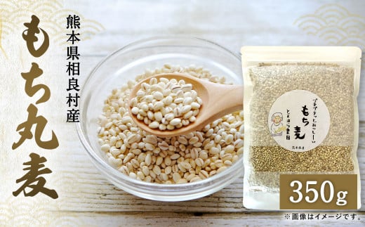 プチプチ！ もち麦 （丸） 350g 麦ごはん サラダ もちむぎ 米 お米 雑穀 ご飯 ごはん 国産