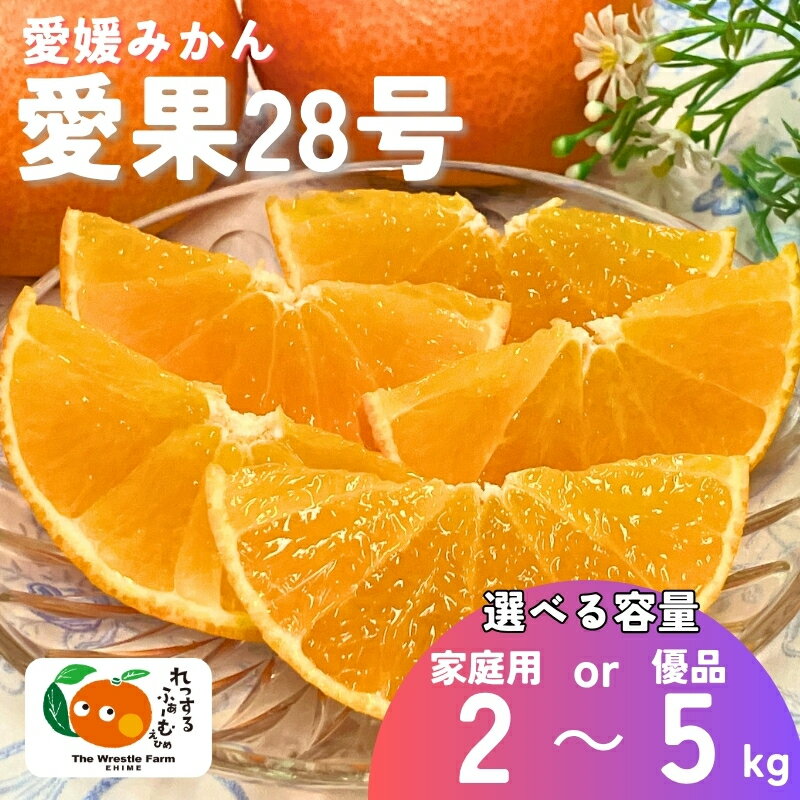 【ふるさと納税】愛果28号 紅まどんなと同一品種 みかん 愛媛県産 【選べる容量】 2kg 3kg 5kg 訳あり ご家庭用 優品 贈答用 先行予約 ＜12月中旬から順次発送予定＞ レッスルファーム 数量限定 おすすめ 美味しい おいしい グルメ フルーツ くだもの 人気 柑橘 伊予市