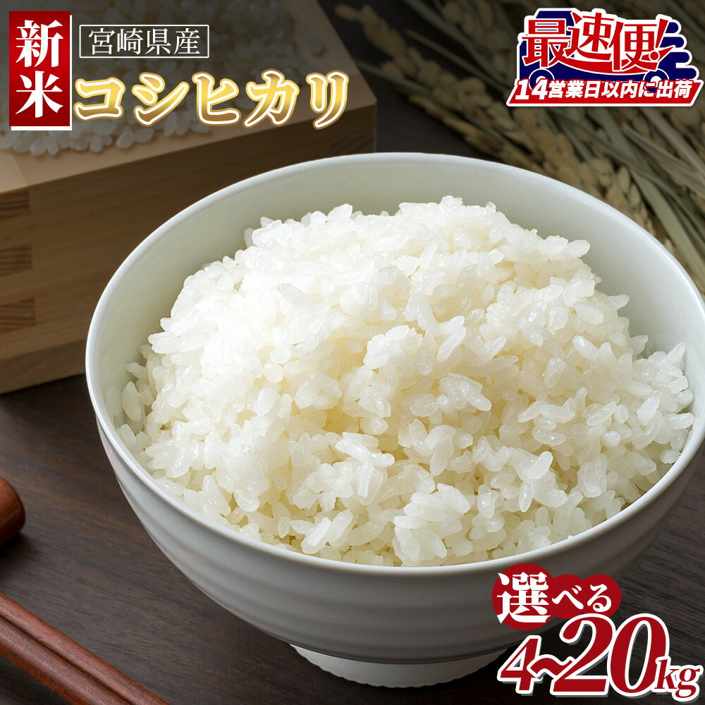 【ふるさと納税】【令和7年度産　宮崎県産新米コシヒカリ】【スピード配送】 ※入金確認後、14営業日以内に順次出荷 選べる 数量 国産 米 お米 最速便 白米 精米 こしひかり ごはん ご飯 白飯 4kg 5kg 7kg 10kg 15kg 20kg 食品 杉尾米店 宮崎県 国富町【常温】