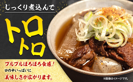 【6ヶ月定期便】 赤牛 スジ 1kg×1パック×6回 《お申し込みの翌月発送》牛肉 肉 あか牛 牛スジ 牛すじ 煮込み カレー 熊本県産 冷凍