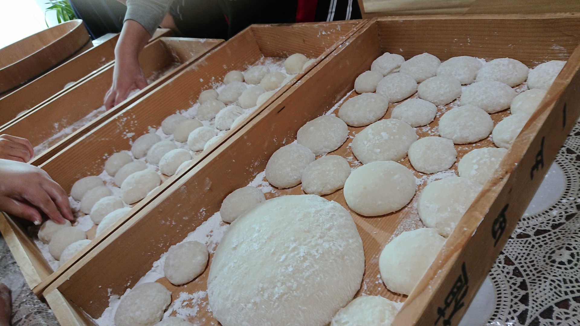 令和7年度 もち米 玄米 5キロ 数量限定 減農薬栽培 餅米 もちごめ 白米 低化学肥料 高知県 南国市