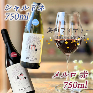 -大船渡で造るワイン- 赤白ワイン（メルロ・シャルドネ）2本セット 辛口 750ml お酒 アルコール ぶどう 葡萄 岩手県 大船渡市