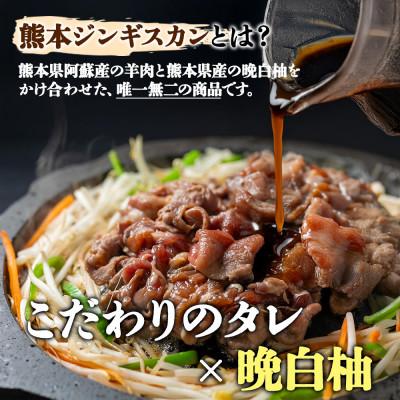ふるさと納税 阿蘇市 阿蘇地域で生産した貴重な国産羊肉のジンギスカン 600g(300g×2パック) |  | 01