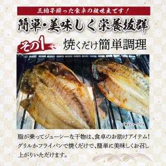 元漁師が手掛ける厳選干物 3種（連子鯛、カツオ、カマス）合計32枚