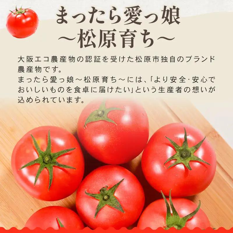 【先行予約】 e～トマト 中玉 約2kg 高糖度 濃厚 有機肥料 エコ農産物 上田ファーム