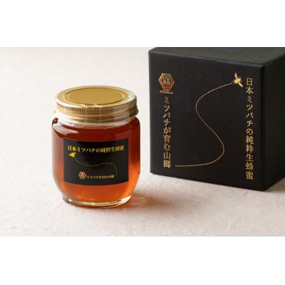 ふるさと納税 豊後大野市 日本ミツバチの純粋蜂蜜　220g |  | 01