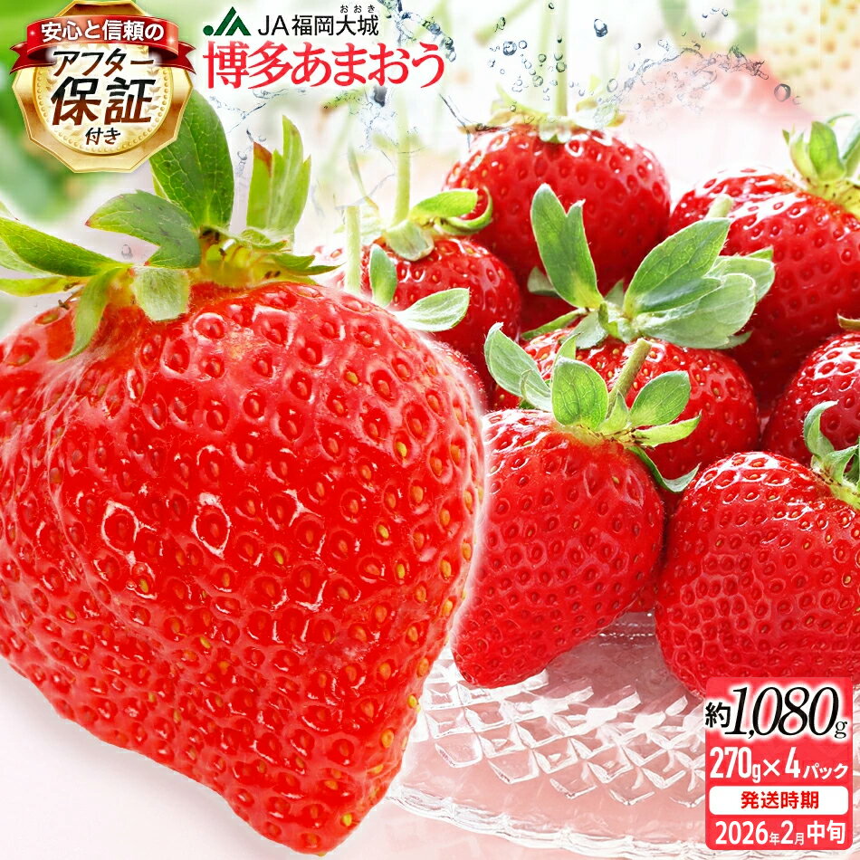 【ふるさと納税】【アフター保証】博多あまおう 福岡県JAグループのブランド あまおういちご 1080g（約270g×4パック）JA福岡大城【2026年2月中旬から順次発送】 イチゴ 苺 あまおう 新鮮 フルーツ AG010