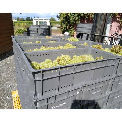 ふるさと納税 上富良野町 【野生酵母】辛口白ワイン 《シャルドネ2023》2本▼富良野盆地の多田ワイナリー |  | 01