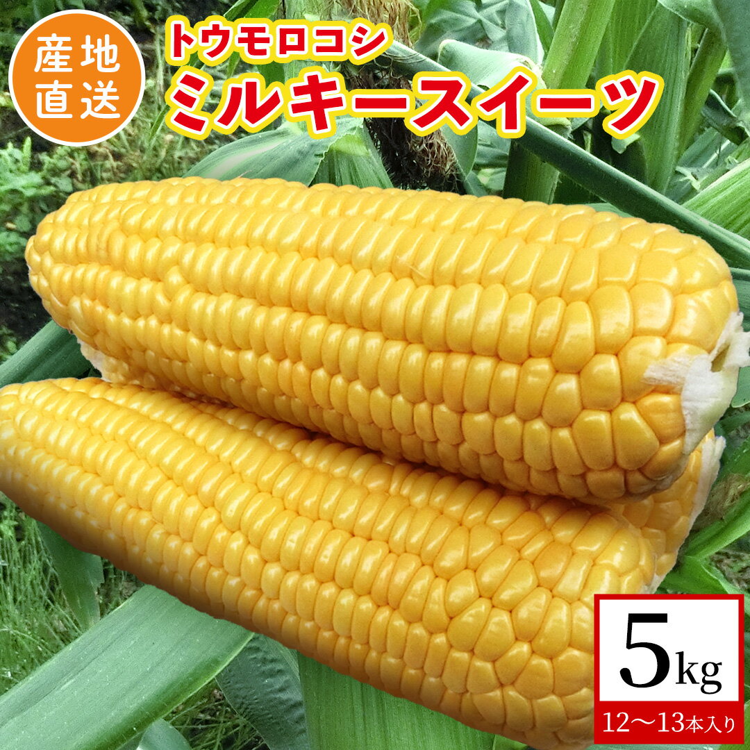 【ふるさと納税】【 産地直送 】 トウモロコシ 「 ミルキースイーツ 」 5kg 先行予約 新鮮 皮付き とうもろこし コーン 野菜