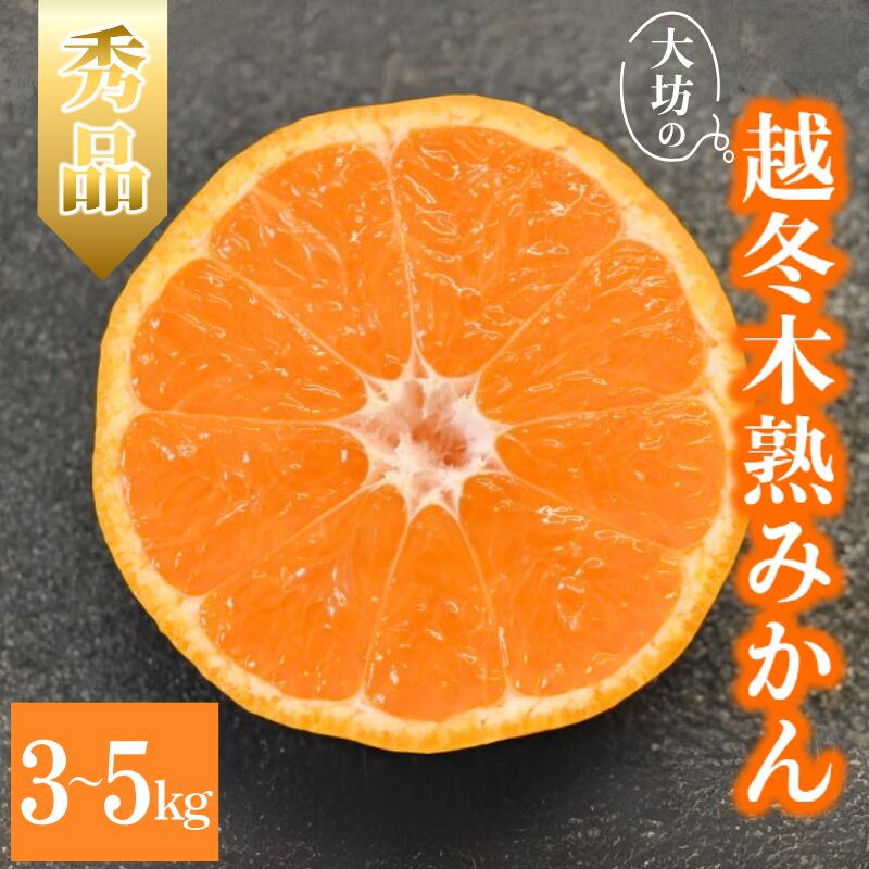 【ふるさと納税】 【予約】大坊の越冬木熟みかん 3kg～5kg ※2026年1月上旬～2月上旬頃に順次発送予定【期間限定・数量限定】 / みかん 蜜柑 大坊みかん 葉付きみかん 甘い 完熟 3キロ 5キロ お取り寄せ 産地直送 贈答品 ギフト 果物 くだもの フルーツ 田辺市 和歌山県
