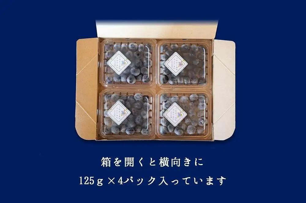 【2027年 予約受付】樹上完熟 フレッシュ ブルーベリー （無農薬・殺虫剤不使用） 500g （125g×4）
