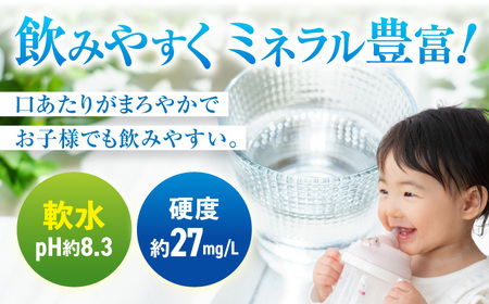 【全4回定期便】 日田天領水 500ml×24本 日田市 / グリーングループ株式会社[AREG042]