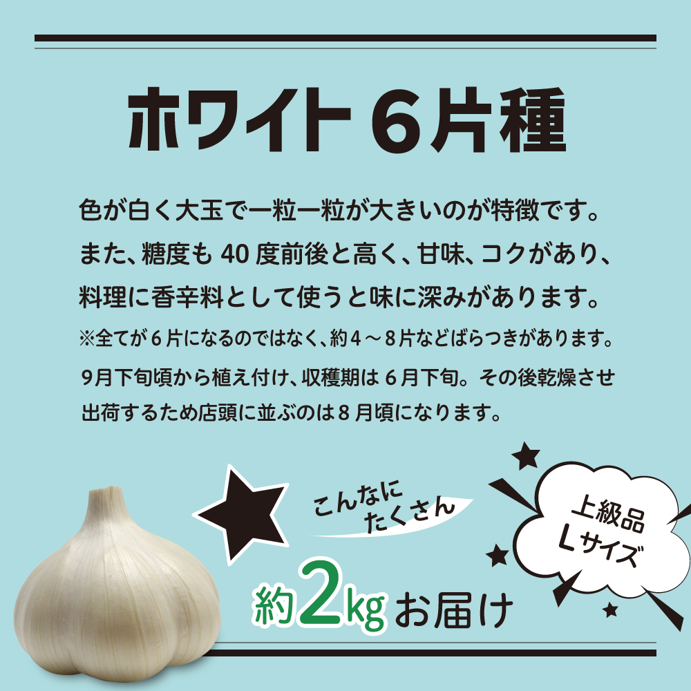 【8月上旬より順次発送】青森県産にんにく（上級品）Lサイズ 2kg