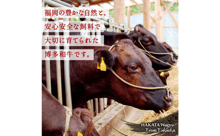 博多和牛　肩ロース焼肉　定期便全5回 約1.5kg（約300g×5回）