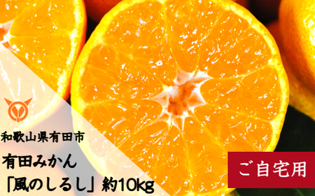 有田みかん「風のしるし」（約10kg）(B241-2)
