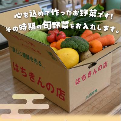 ふるさと納税 佐川町 <年4回定期便> はちきんの店 野菜 セット 7~10品 |  | 03
