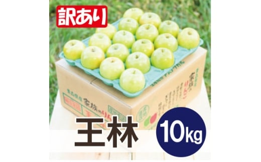 ＜2026年1月より順次発送＞平均糖度13度以上! 王林 約10kg 訳あり【1692372】