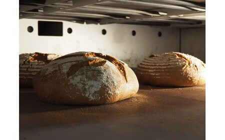 バックハウスブラウ（Backhausblau)ロッゲンミッシュブロート 1個 |パン ぱん ドイツパン ベーカリー どっしり 重厚 酸味 食物繊維 ミネラル ビタミン 栄養価 バター 送料無料 岐阜県