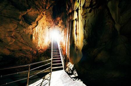 【日本三大鍾乳洞】龍河洞観光コース入洞券 大人2名分 チケット 鍾乳洞 洞窟 地下 観光 歴史 自然