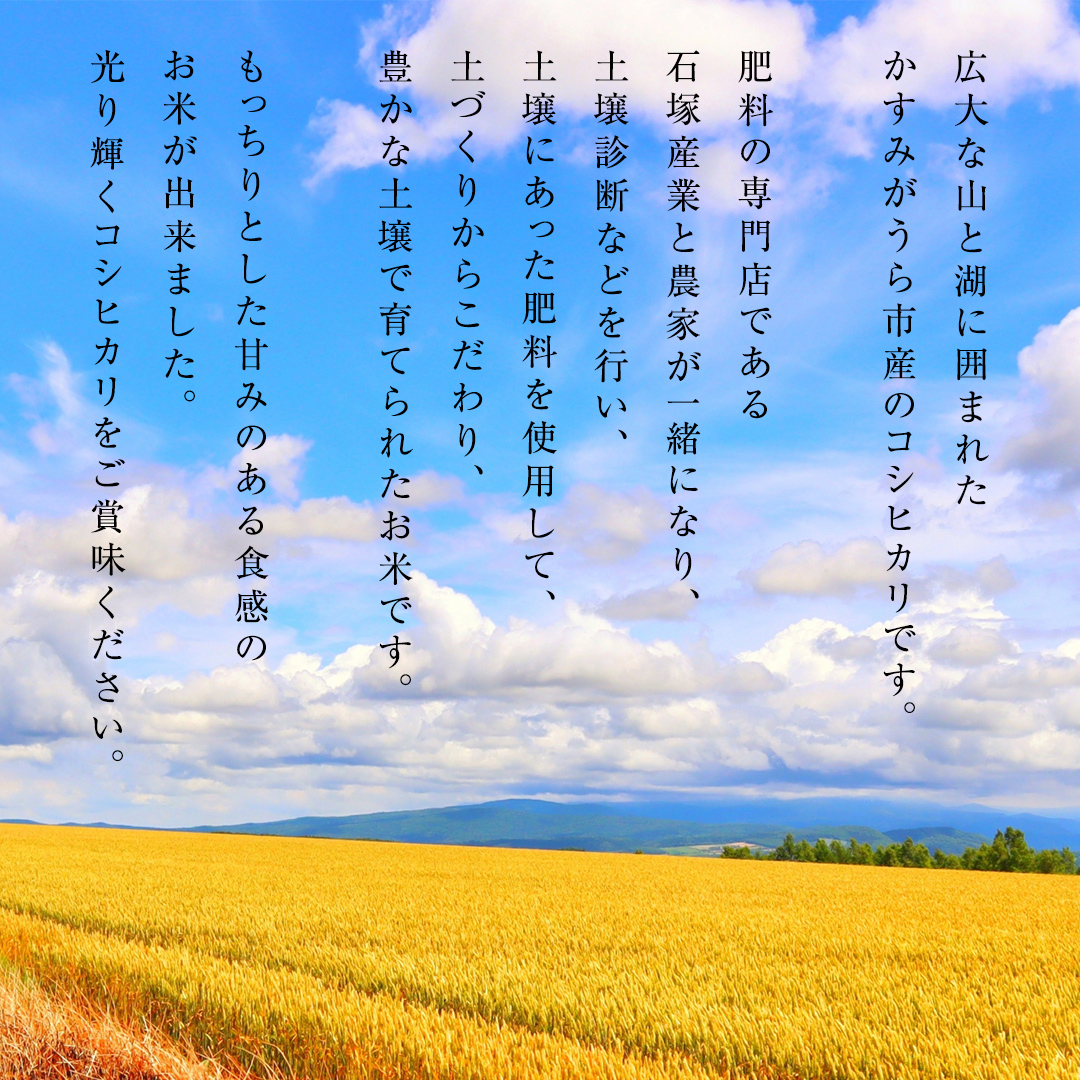  ＼ 3月出荷 ／【令和7年産】コシヒカリ 精米10kg（10kg×1袋）（茨城県共通返礼品 かすみがうら市産） 米 ごはん もっちり 甘い コメ お米 白米 銘柄米  [EX002sa-03]