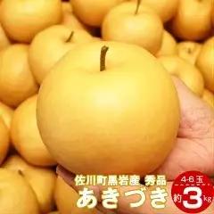 あきづき　梨（約３kg／4～7玉）【期間限定・先行予約受付】秋月梨 2026年秋発送