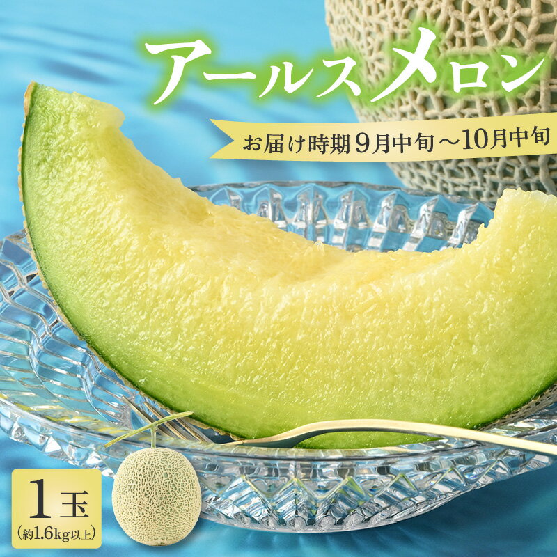 【ふるさと納税】【先行予約】秋 アールスメロン 1玉（約1.6kg以上）青肉品種 高級メロン！ ／ マスクメロン 大玉 果物 フルーツ ギフト 農家直送 ※2026年9月中旬以降発送
