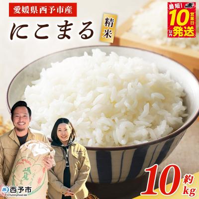 ふるさと納税 西予市 <令和7年産 西予市産 にこまる 精米 約10kg宇都宮米穀 ニコマル お米 米