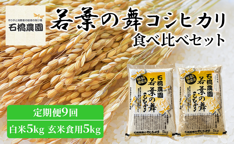 
米 若葉の舞 コシヒカリ 白米5Kg玄米食用5Kg 食べ比べセット 定期便9回 こしひかり お米 白米 玄米 セット 食べ比べ 定期便 精米 千葉 千葉県 低温保存 [№5346-0814]
