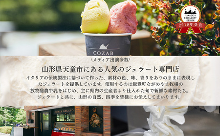 COZAB GELATO 訳あり 大容量 ひとりじめサイズ 2個セット FY25-276
