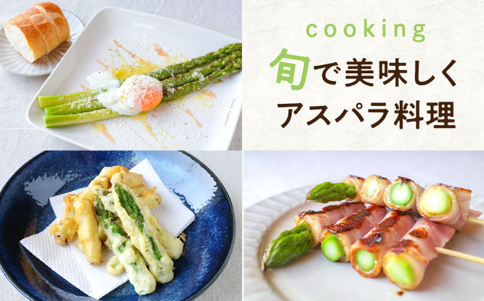 【TV西村キャンプ場で紹介！】朝採れ即日発送のジューシーアスパラガス！