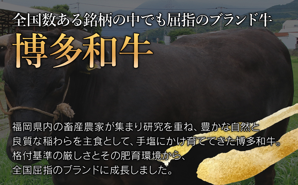 博多和牛 100％ 贅沢 手ごね ハンバーグ 150g×10個 牛肉のみ 肉 お肉 和牛 国産牛 焼くだけ おかず お弁当 冷凍 牛肉 計1.5kg 食べ応え お取り寄せ お取り寄せグルメ オリジナル