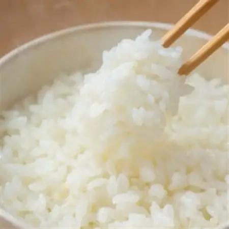 【毎月定期便】【9kg】金芽米 4.5kg×2袋(無洗米)　金芽米計量カップ付全5回【4081966】