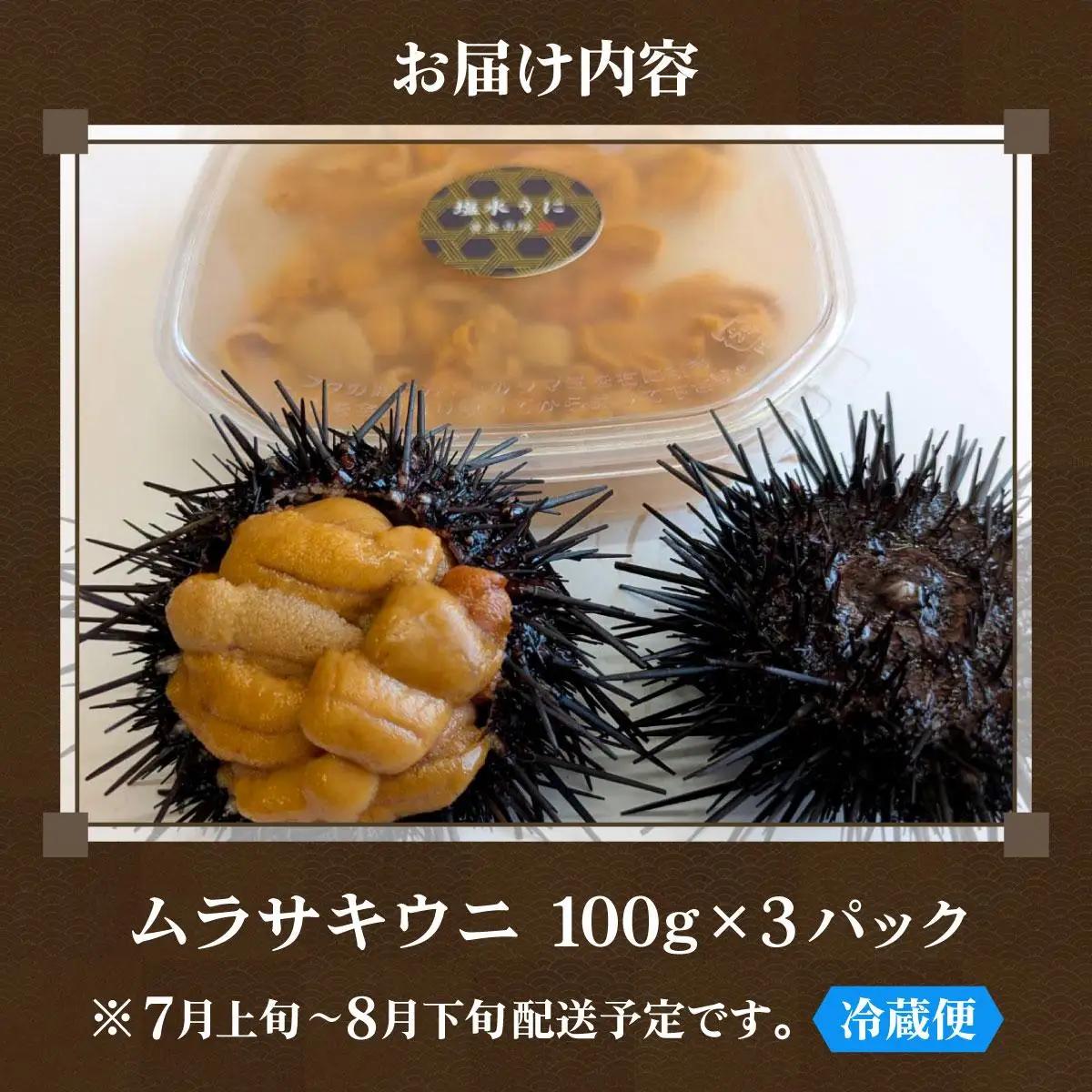＜先行予約＞ 北海道産 ムラサキウニ（正規品）300g【ogm-032】