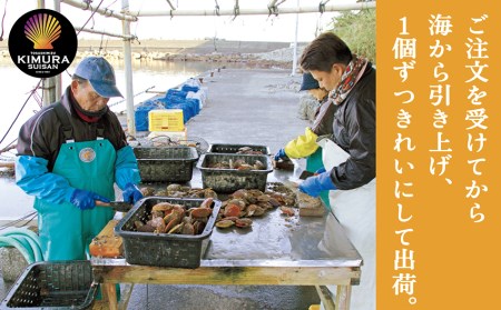 ヒオウギ貝42個セット（ホタテの仲間）アウトドア キャンプ 海鮮BBQ 魚貝 刺身 生 貝殻付 活 貝柱 酒蒸し バーベキュー【R00570】