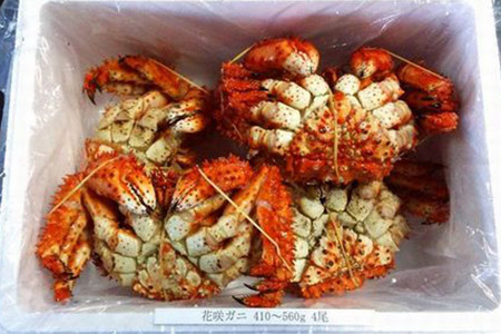 【北海道根室産】花咲ガニ410～560g×4尾 A-57005