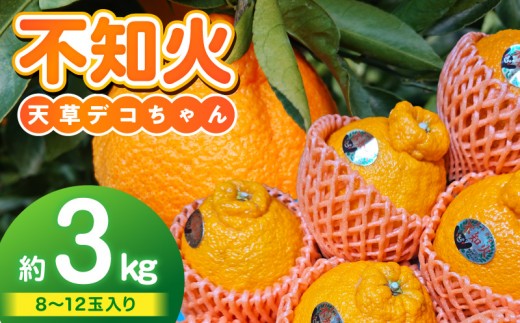 
                  S153-001_数量限定 不知火 約3kg デコポン 同一品種 完熟 農家直送 8～12玉 天草産 柑橘 旬 果物 フルーツ 果樹園 しばた農園 みかん デザート スイーツ 国産 熊本県 天草市 期間限定 送料無料
                