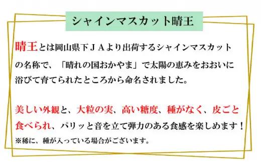 シャインマスカット晴王 約600g×1房 【2026年8月下旬～11月下旬迄発送】 岡山 種無し 種なし マスカット 果物 くだもの フルーツ ぶどう ブドウ 葡萄 冷蔵