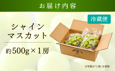 【先行予約】 シャインマスカット ひとくちシャイン 約500g 1房 【2026年8月中旬以降順次発送予定】マスカット ぶどう [A-21701]