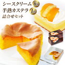 【ふるさと納税】【長崎ご当地スィーツ】 シースクリームと半熟カステラ詰合せ カット 菓子 お菓子 スイーツ ケーキ フルーツ 黄桃 パイナップル ギフト かすてら セット 詰め合わせ 冷凍 長崎市