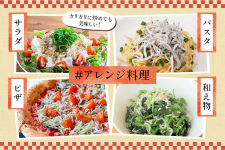 大津港水揚げのしらす干し 1kg[500g×2箱]（茨城県共通返礼品・北茨城市産） A78-009