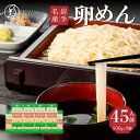 【ふるさと納税】 45人前！ 卵香るそうめん 「卵めん」 500g×9袋 無添加 岩手名産 素麺 [K0026]