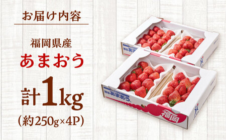【2026年2月上旬より発送】福岡産【春】あまおう4パック 桂川町/南国フルーツ株式会社[ADBW008]あまおう 博多 福岡