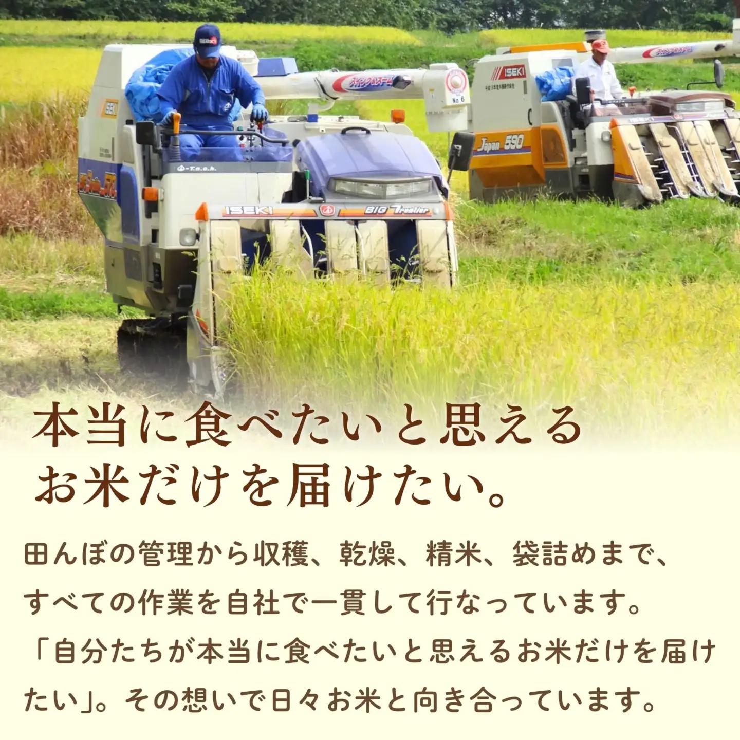 【新米予約】コシヒカリ 玄米 30kg 特別栽培米 「かまくらの里 コシヒカリ」