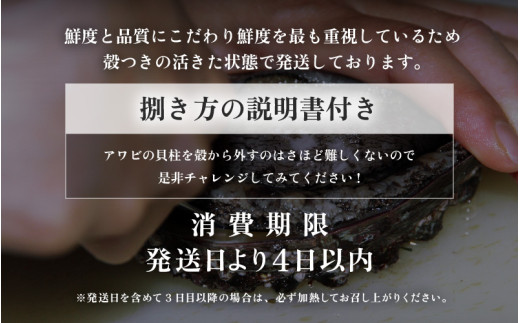 【先行予約】≪おまかせ≫ 日本海若狭湾の 天然 活アワビ 計600g 【2027年3月より順次発送予定】 鮮度抜群  刺身 お造り バター焼き BBQ あわび 鮑 [m17-d006_03]