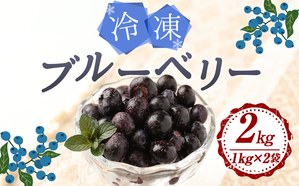 
九重町産 冷凍 ブルーベリー 2kg (1kg×2袋) 農薬不使用 果物 【2024年9月下旬より発送開始】
