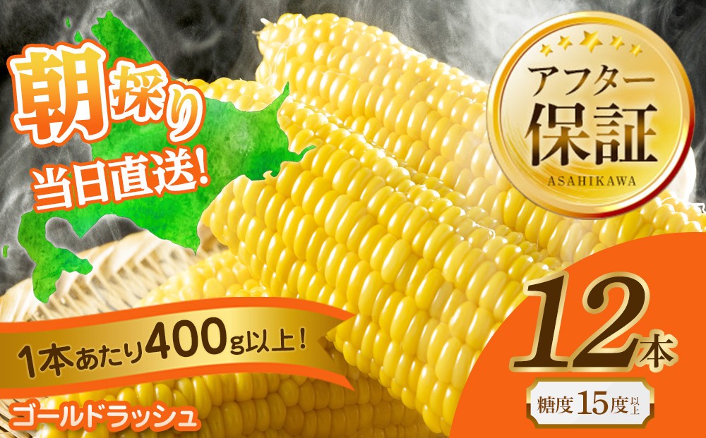 
                  ◆ふるさとチョイス限定◆【先行予約】黄金色で大粒 ゴールドラッシュ 12本 4.8kg (2026年8月下旬より発送予定) 【 人気 北海道産 糖度 生 野菜 スイートコーン 産地直送 バーベキュー BBQ コーン 旬 お取り寄せ 旭川市 北海道 送料無料 】_00408
                