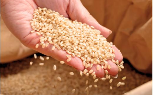 【令和7年産 新米】 真庭市産 蒜山米 あきたこまち 玄米 30kg / 真庭市 岡山県 令和7年産 2025年産 新米 玄米 数量限定 2025年9月下旬～順次発送予定 【agurih003-02】